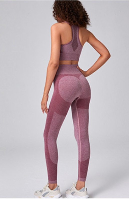 Kadın Seamless Fileli Hızlı Kuruyan Spor Sütyen ve Yoga Takımı